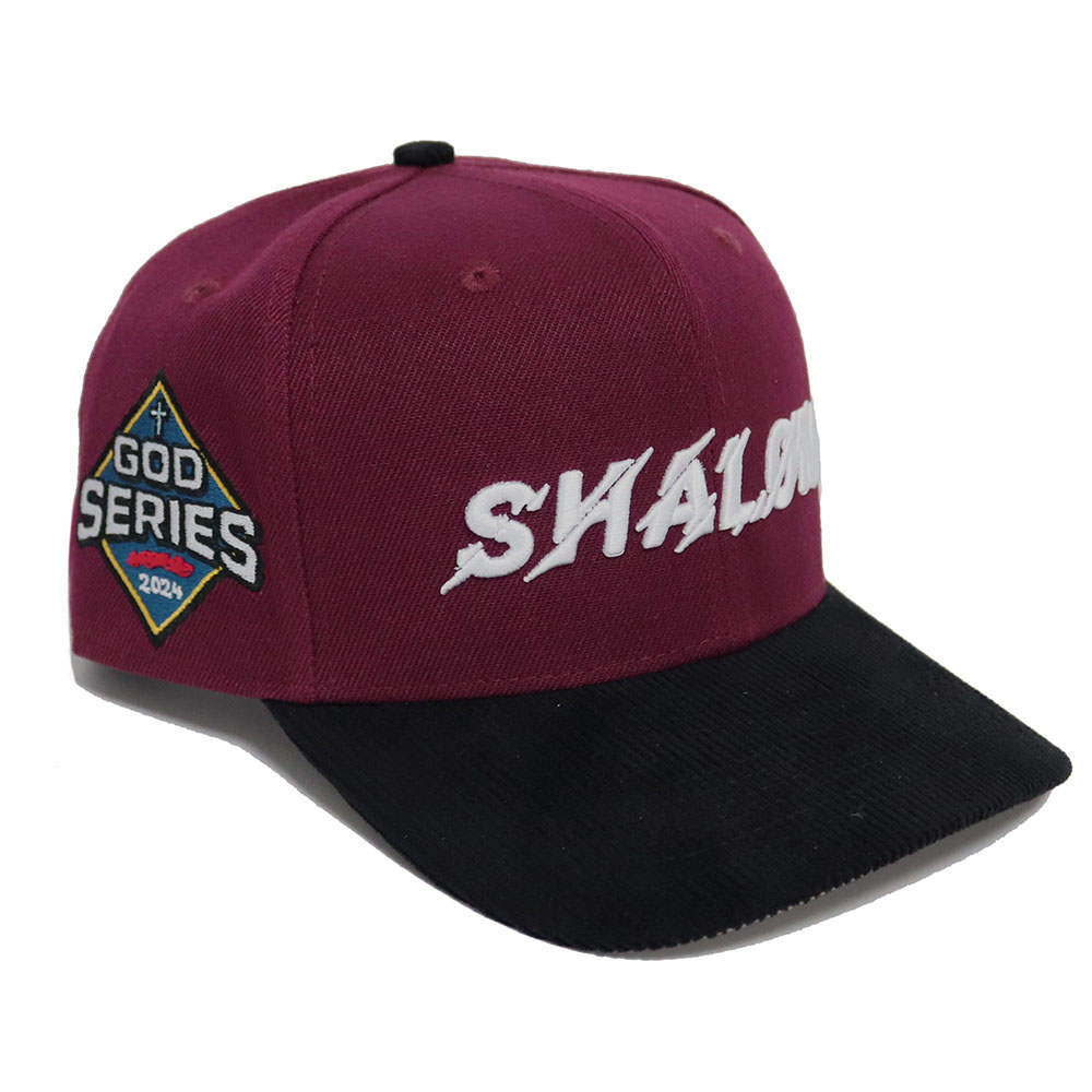 (Peace) Shalom